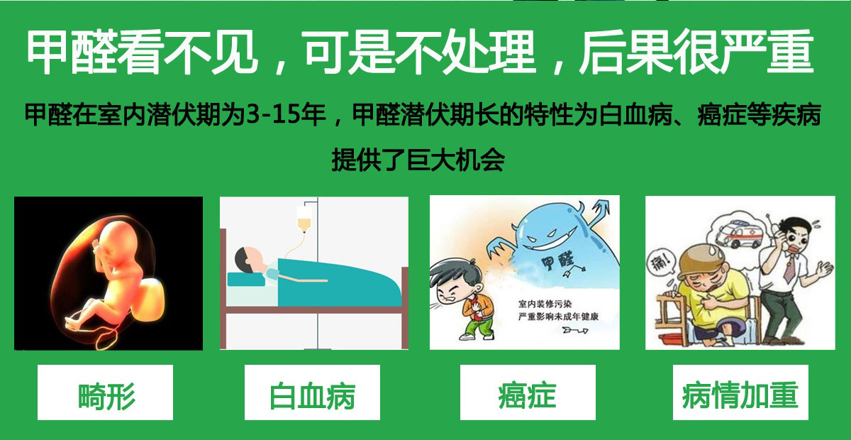 除甲醛公司